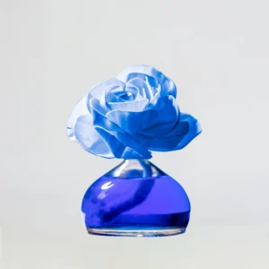 Flor Aire Limpio